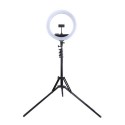 LED Ring Lamp 34.5cm with Tripod Stand up to 1.85m, Mirror, Phone Clamp, USB